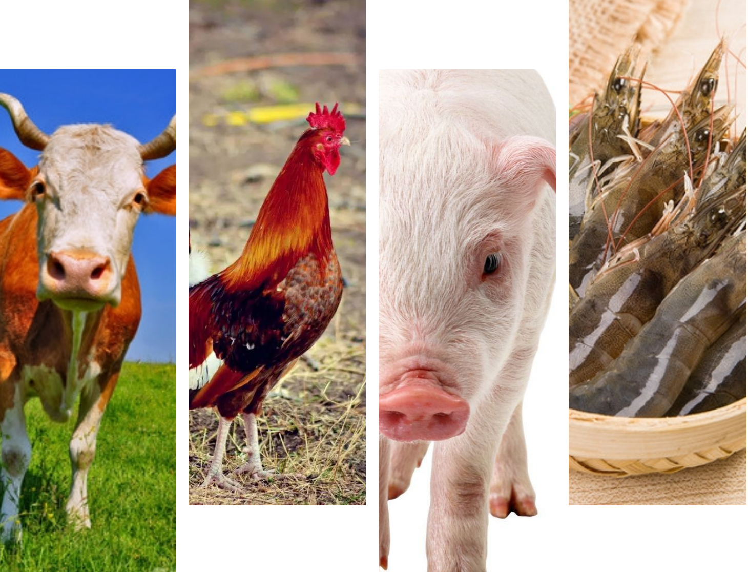 De bêste kar foar it behearen fan waarmtestress