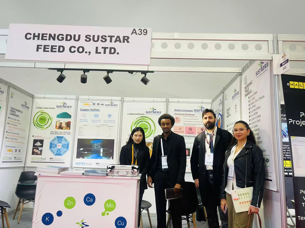 Expo5 Iostanbúl VIV na Tuirce 2025