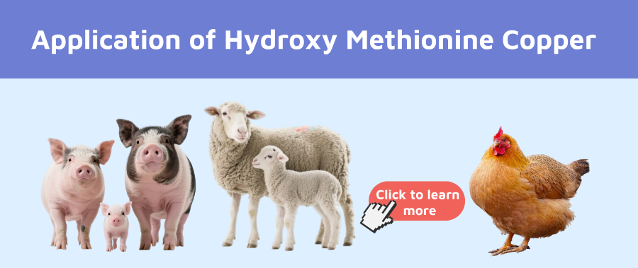 Daim ntawv thov ntawm Hydroxy Methionine Tooj Liab