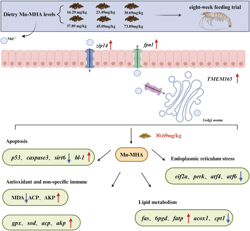 Водни животни