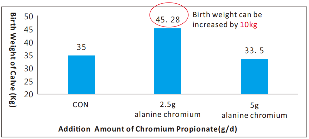 Effekten fan chromiumpropionaat op reproduktive prestaasjes fan molkkij yn 'e perinatale perioade yn Jinggang-stêd