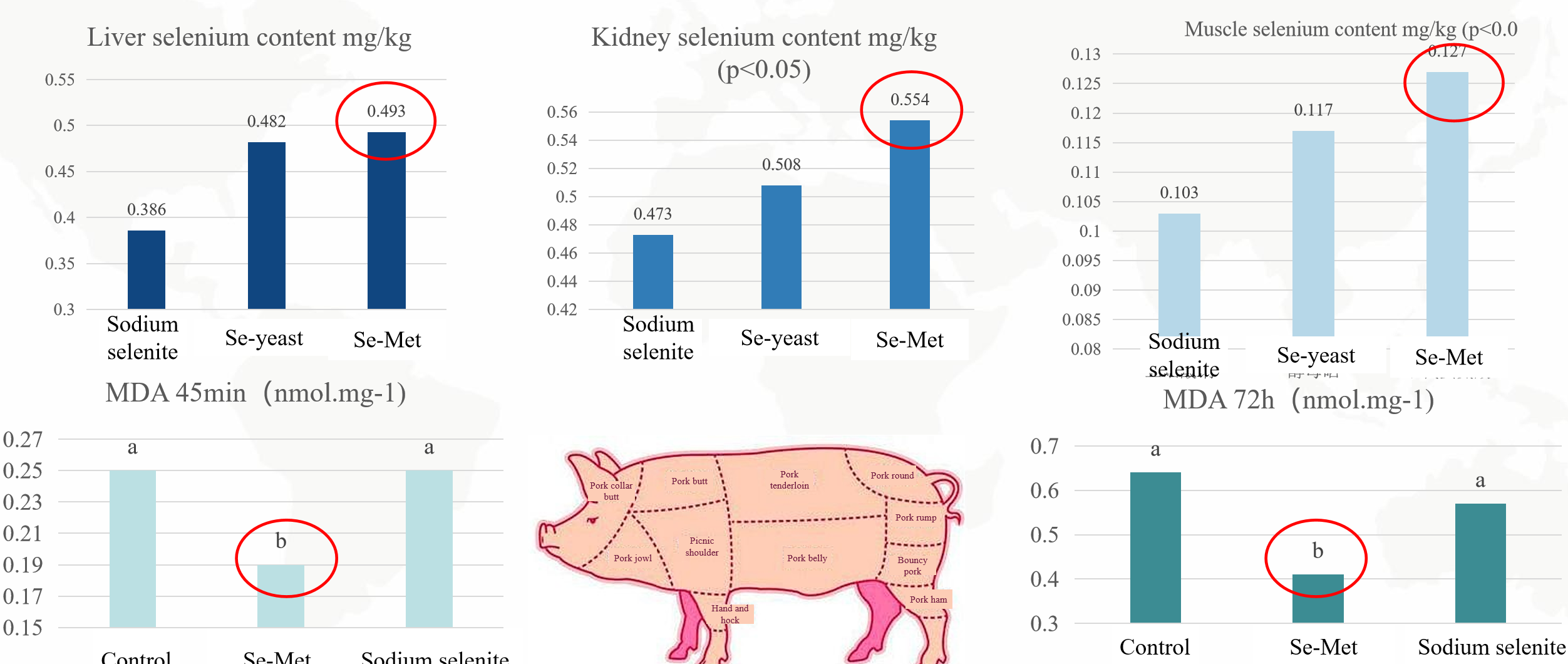 ಸೆಲೆನಿಯಮ್ ಶೇಖರಣೆಯನ್ನು ಸುಧಾರಿಸಿ