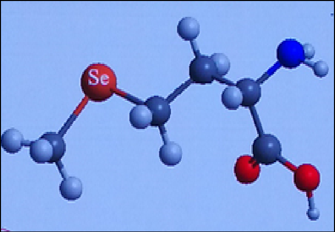 ಎಲ್-ಸೆಲೆನೋಮೆಥಿಯೋನಿನ್ 1