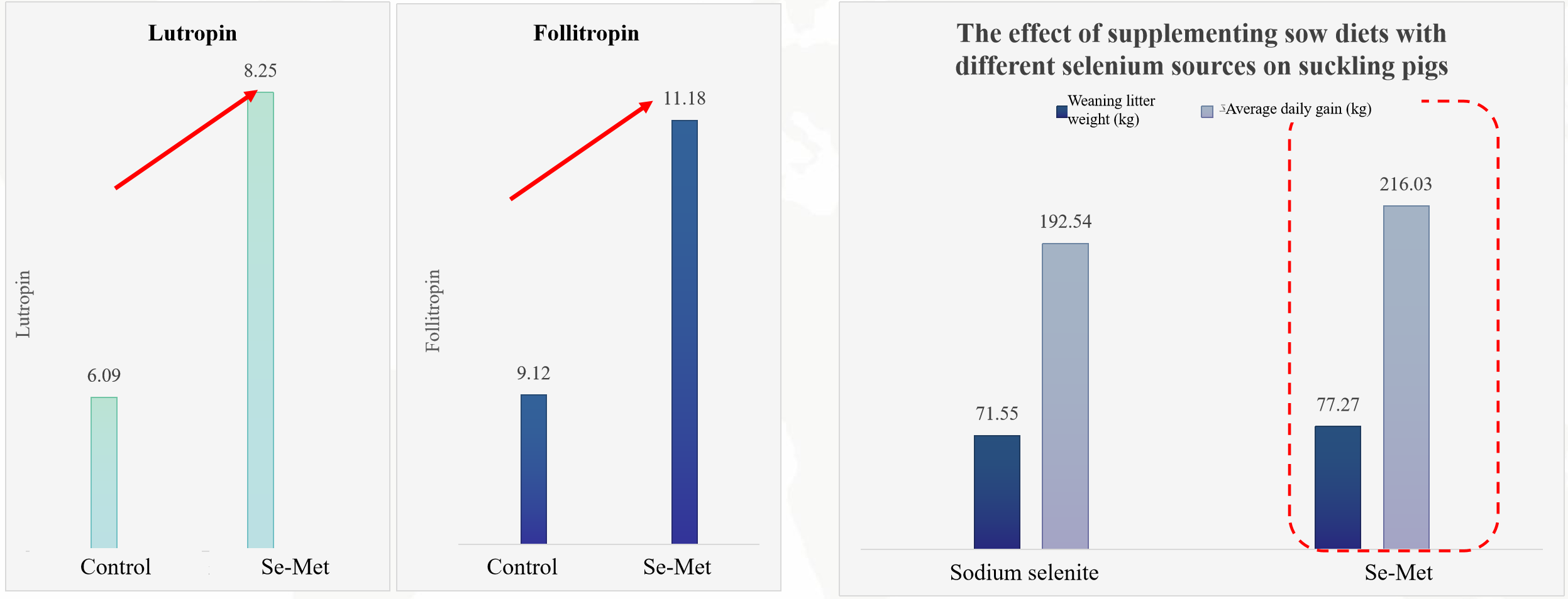 ಪೂರ್ವ-ಉತ್ಪಾದಕ ಕಾರ್ಯಕ್ಷಮತೆ - ಅಣೆಕಟ್ಟು