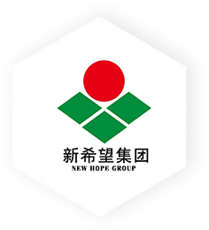 XOV XWM NTAWM INTERNATIONAL GROUP8