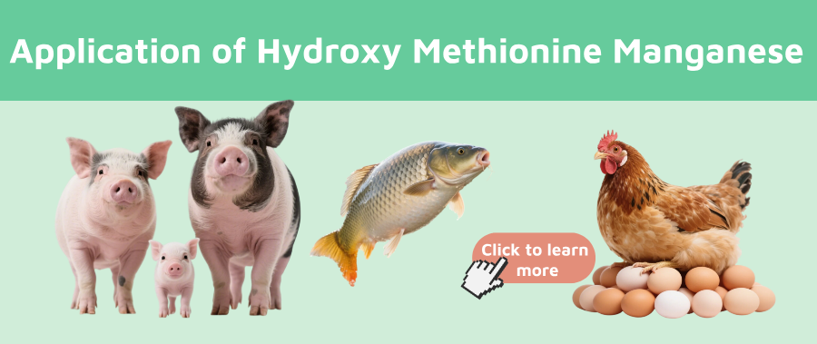 Cov Kev Siv Hydroxy Methionine Manganese hauv Kev Ua Liaj Ua Teb yog dab tsi?