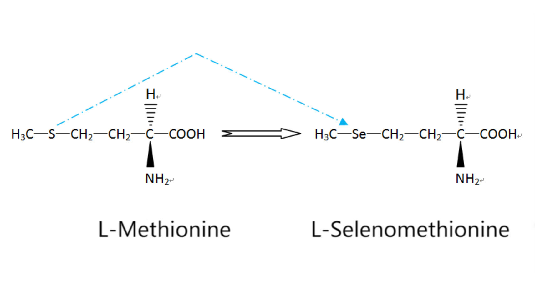 ಎಲ್-ಸೆಲೆನೋಮೆಥಿಯೋನಿನ್