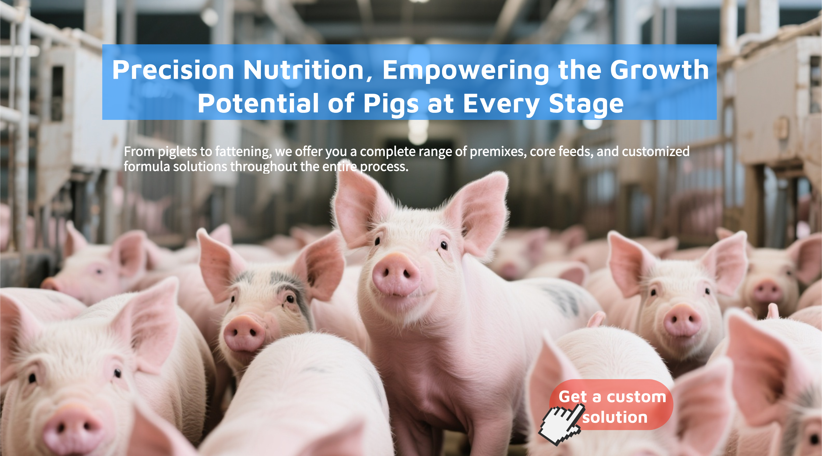 1.Customized nutrition formula for pigs