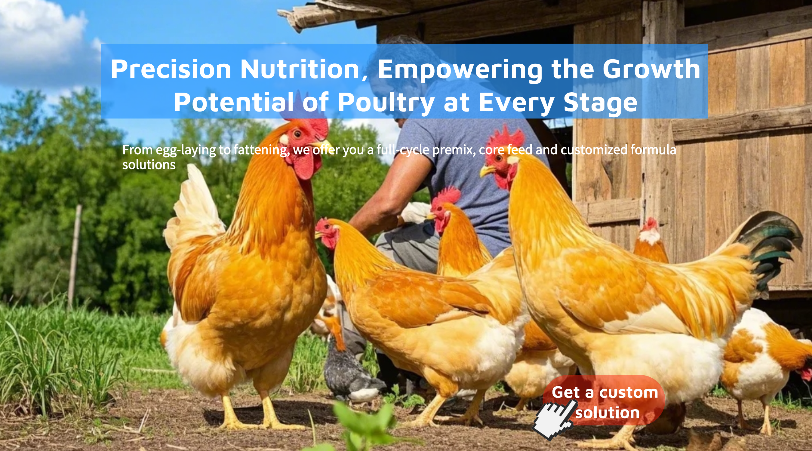 1.Precision Nutrition, Empowering the Growth Potential of Poultry at Every Stage