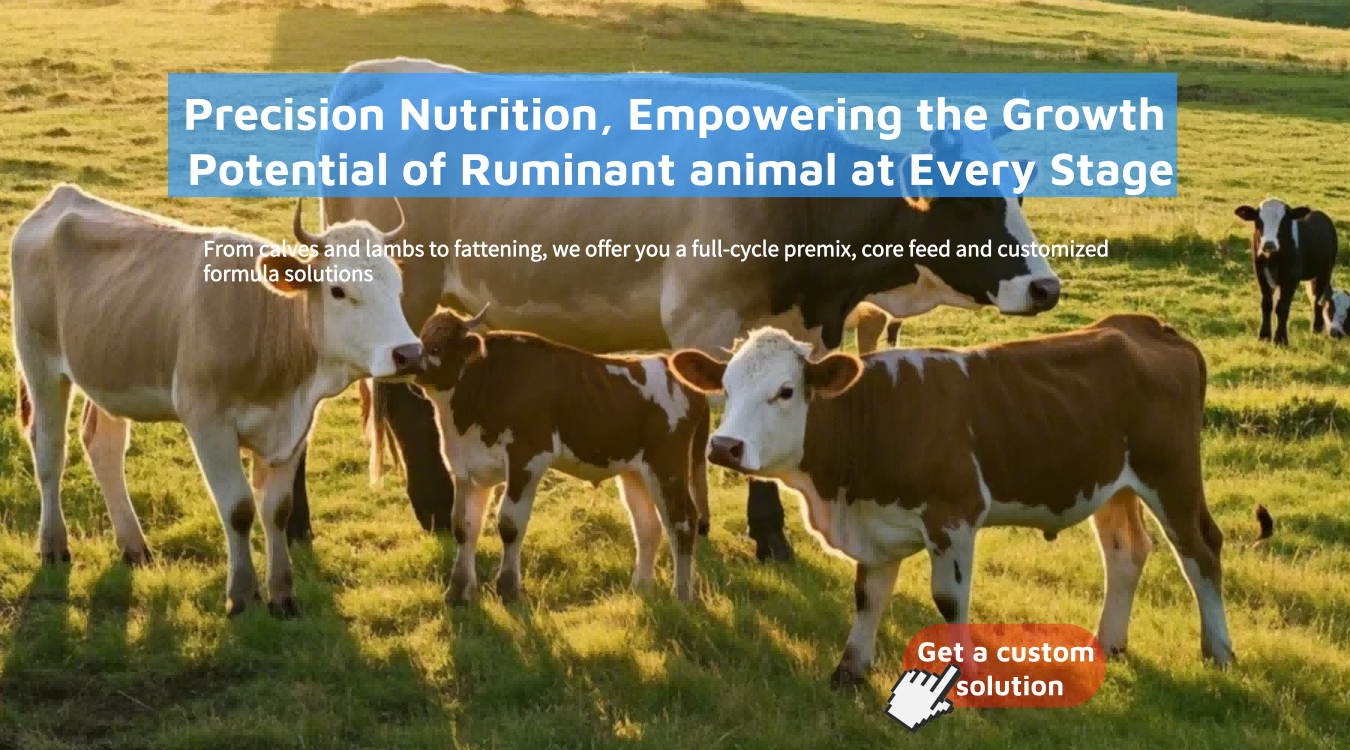 1.Precision-Nutrition-Empowering-the-Growth-Potential-of-Ruminant-animal-at-Every-Stage
