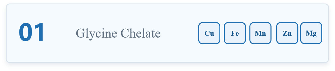 Glycine Chelate