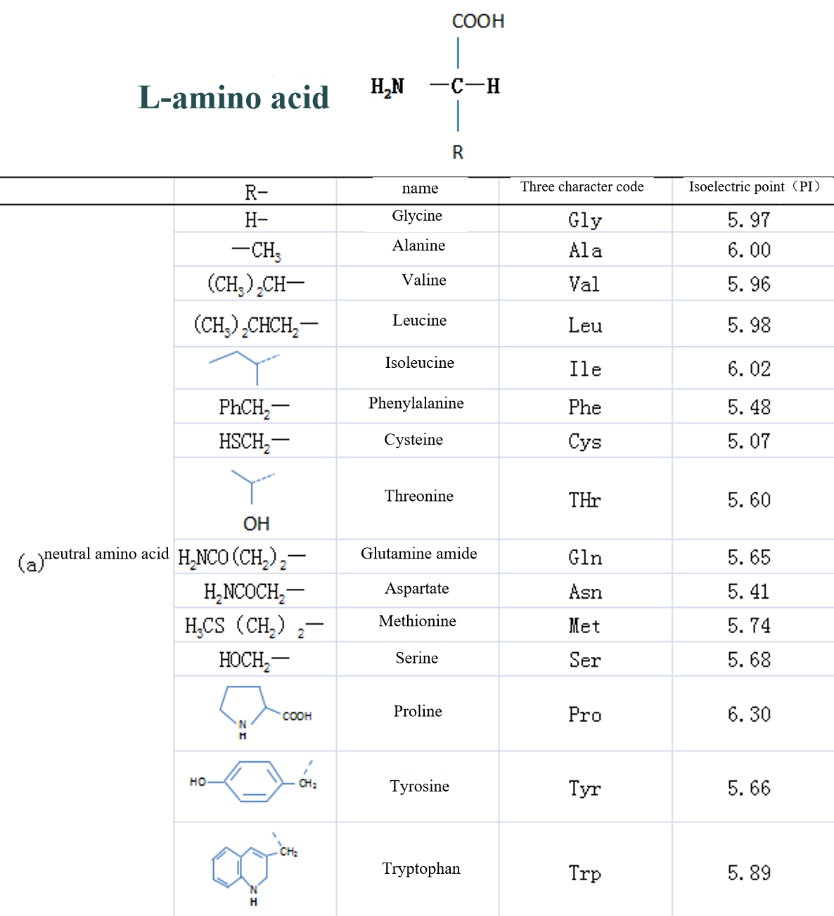  Coordinating groups of amino acids and peptides chelated with metals