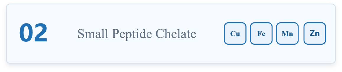 Small Peptide Chelate