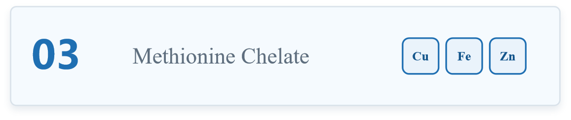 Methionine Chelate