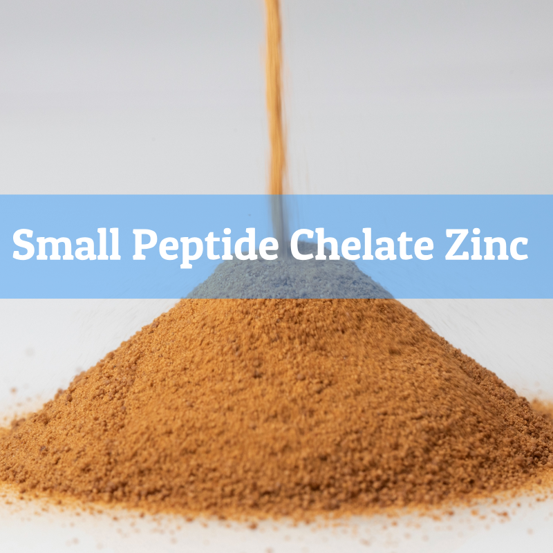 5.Small peptide chelate zinc