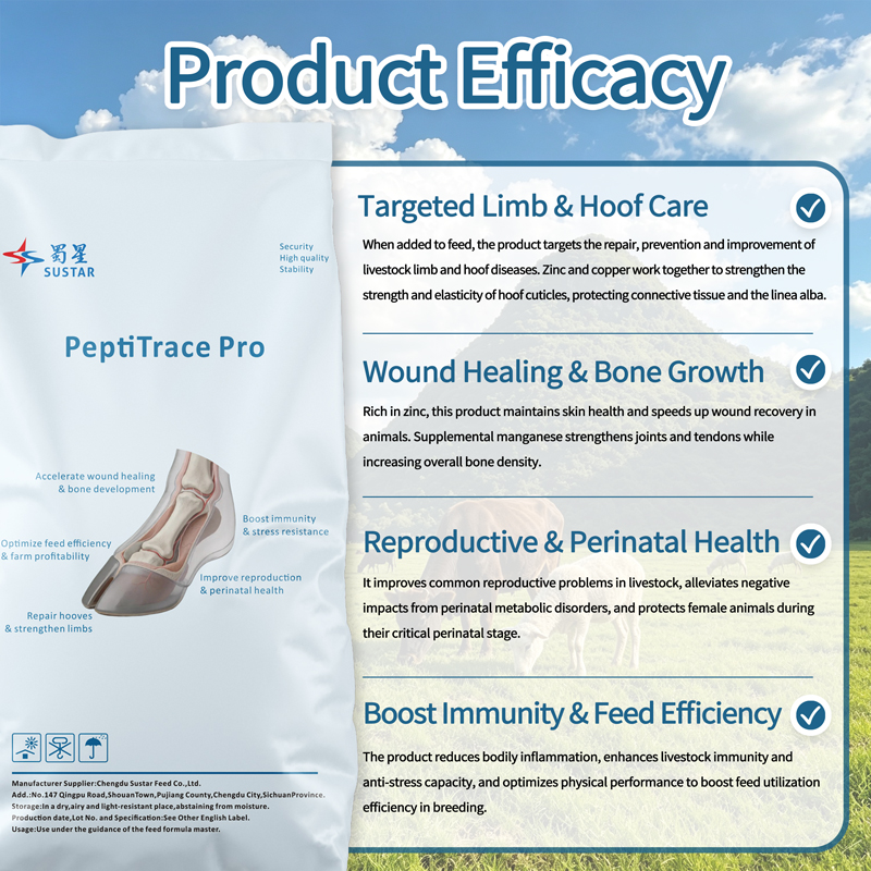 Amino Acid Small Peptide Chelated Cattle and Sheep Premix