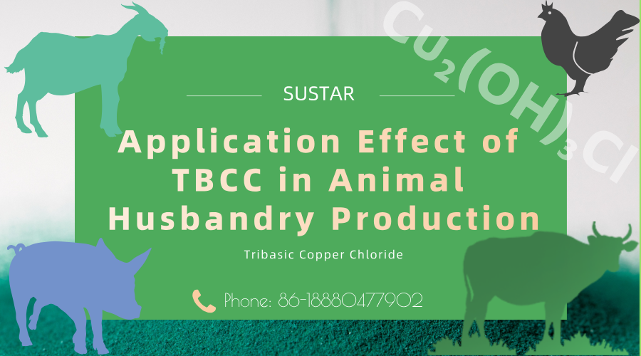 Application Effect of TBCC in Animal Husbandry Production