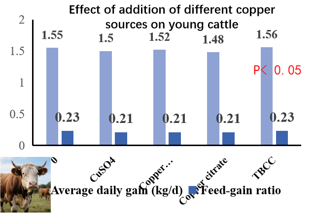 Application effect of TBCC in Cattle