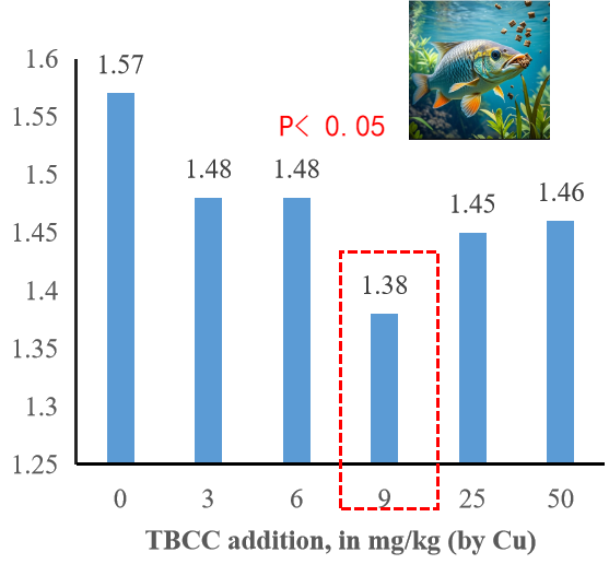 Application effect of TBCC in fish
