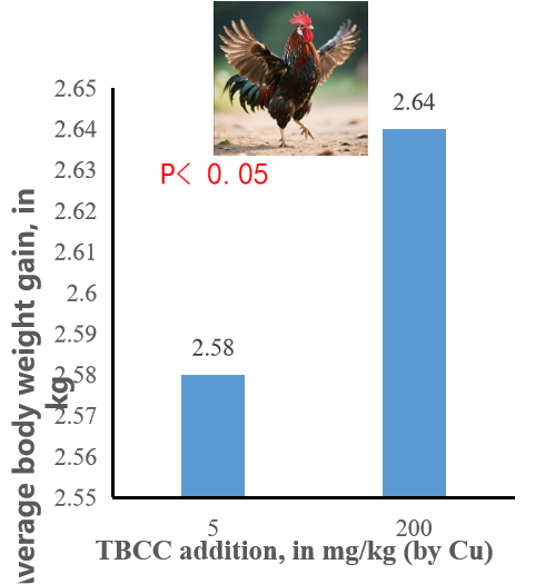 Application effect of TBCC in poultry