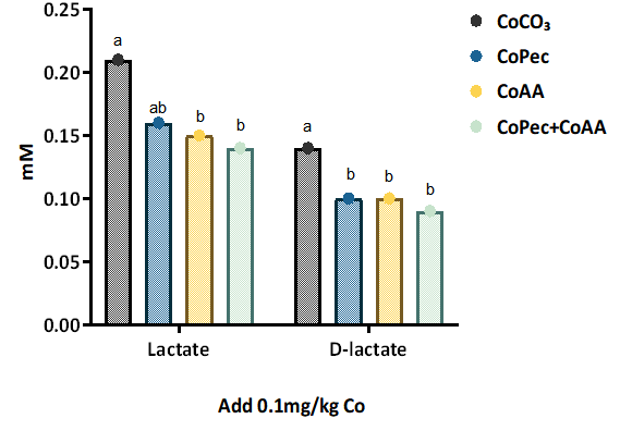 Application of Small Peptide Chelated Cobalt in Ruminant