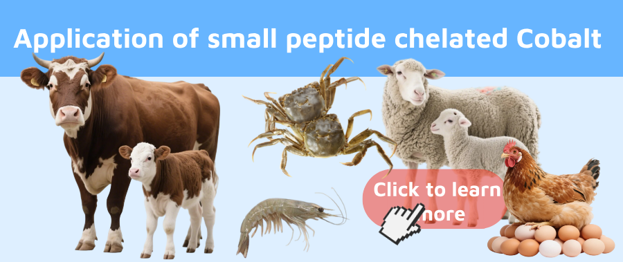 Application of small peptide chelated Cobalt1