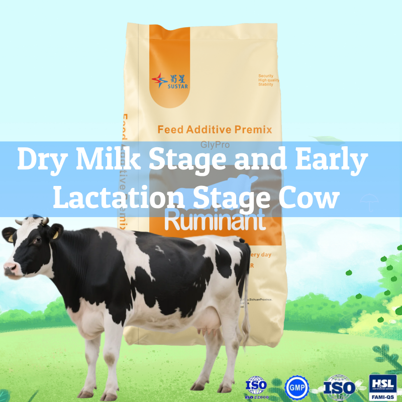 Dry milk stage and early lactation stage