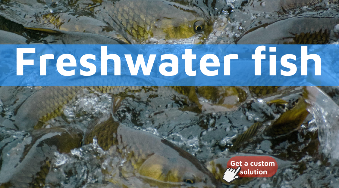 Freshwater-fish