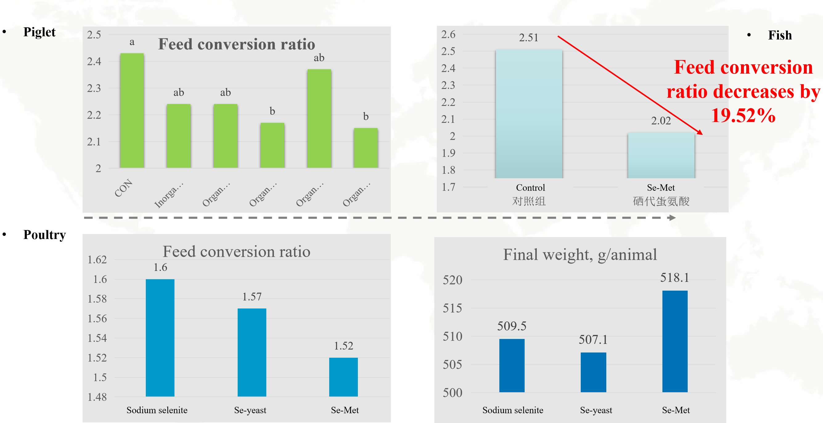 Improve the Growth Performance of Animals