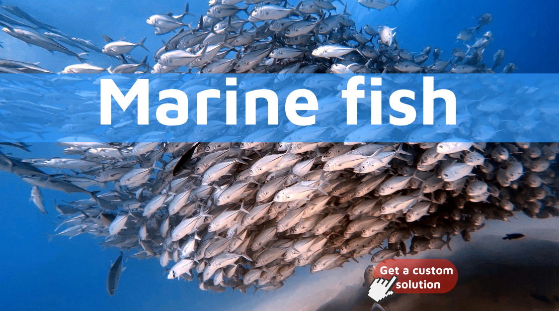 Marine-fish