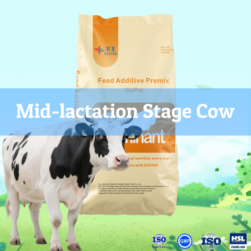 Mid-lactation Cow