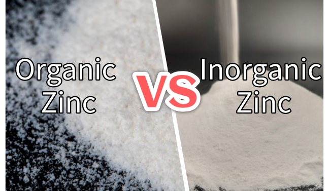 Organic Zinc vs Inorganic Zinc: Which Zinc Source Is Better for Animal Nutrition?