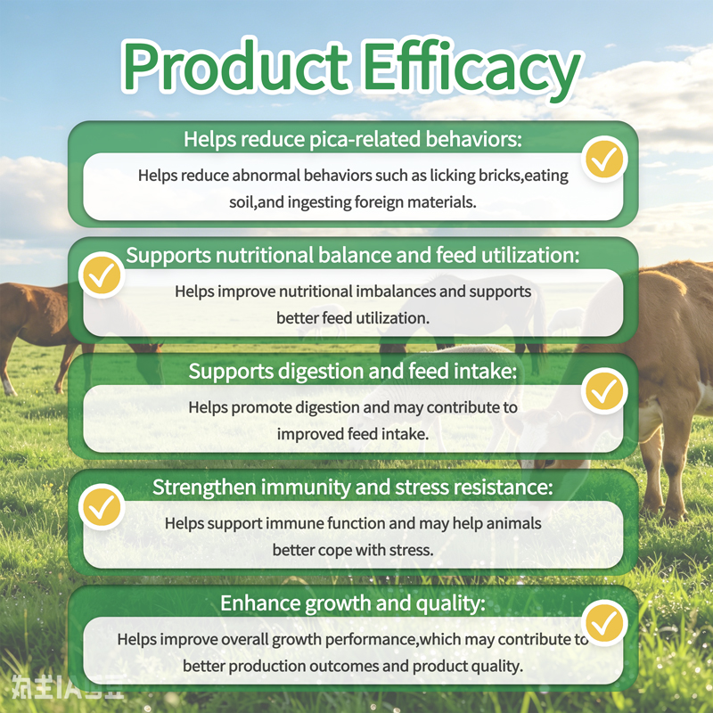 Premix to Stop Pica Abnormal Licking of Cattle and Sheep SUSTAR PicaZero (1)