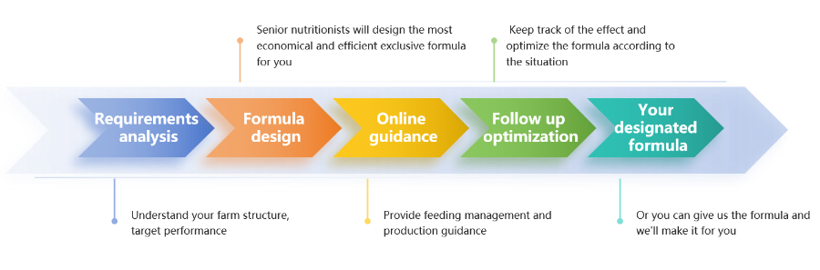SUSTAR Customize the process