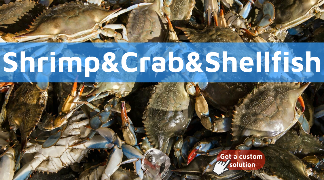 Shrimp-crab-shellfish