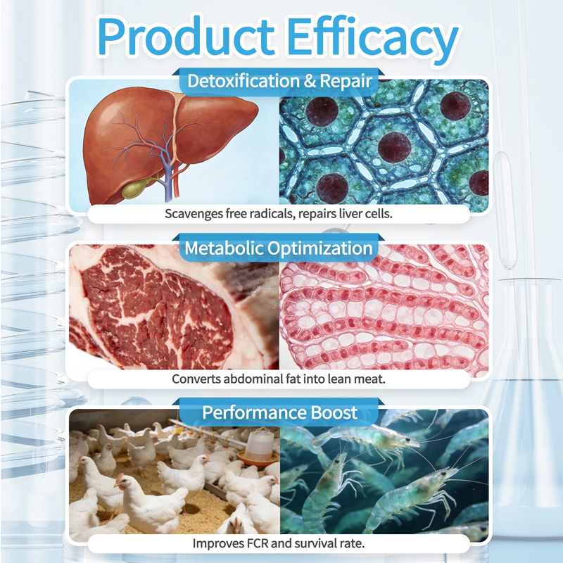 Vitamin E and Lipase feed additive (2)
