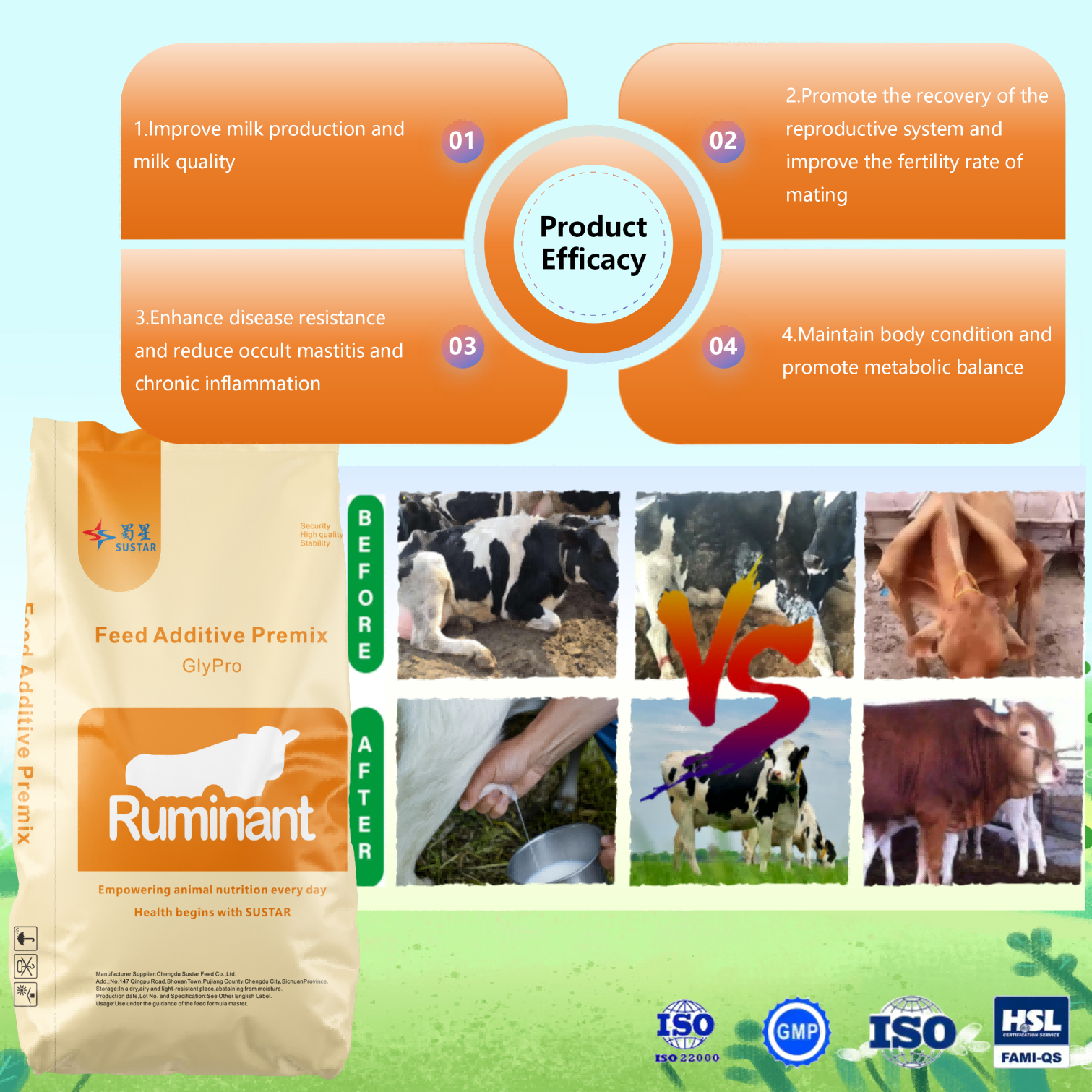 Vitamin Mineral Premix for Mid-lactation Stage Cow (3)