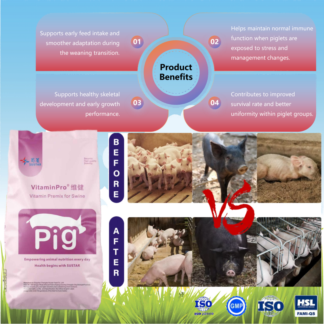 Vitamin Premix for Piglet  Vitamin Pro X301 (1)