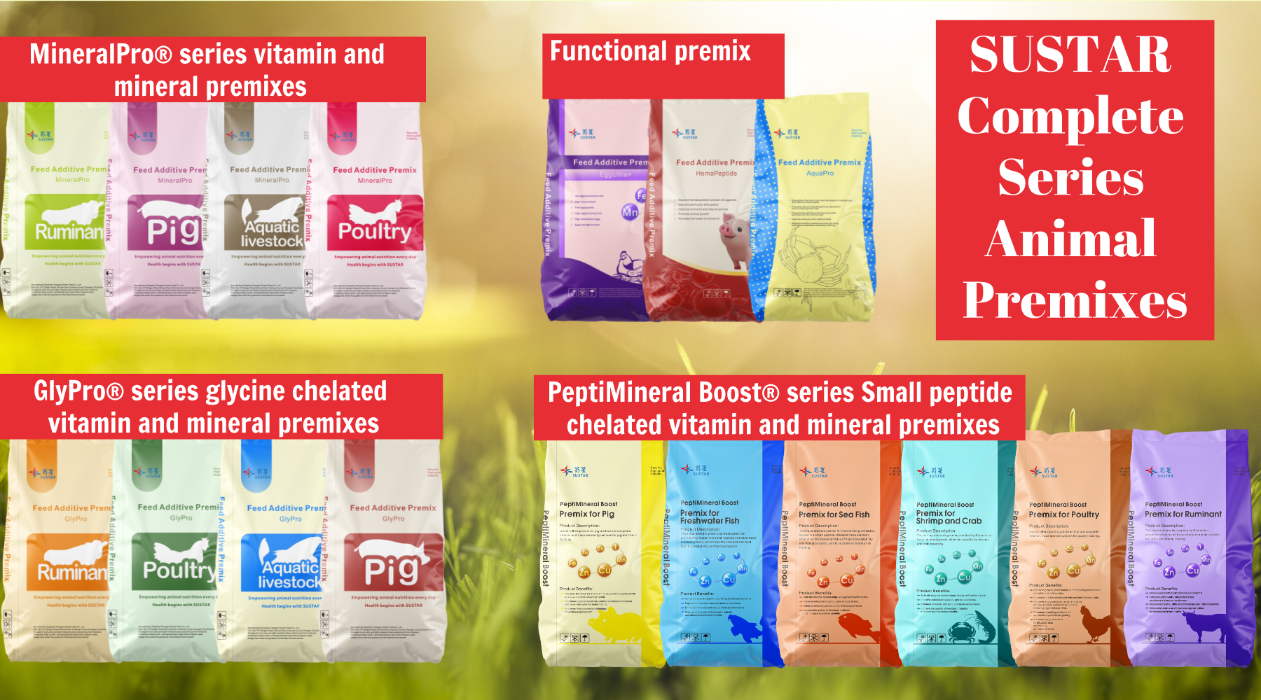 Vitamin＆Mineral Premix for Feeding Pigs