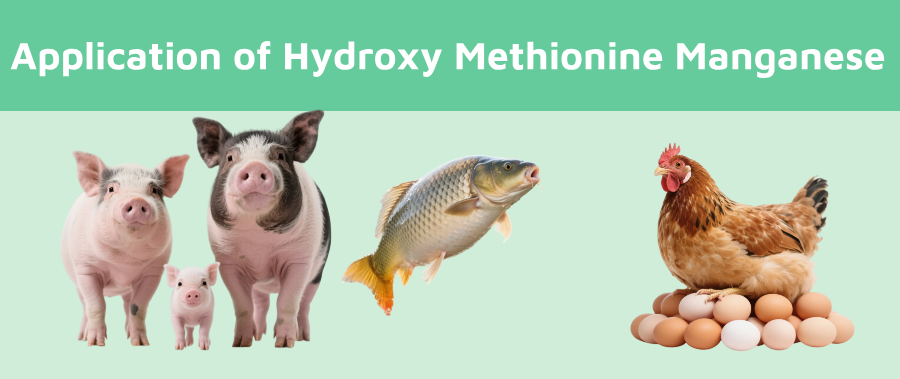 What are the Applications of Hydroxy Methionine Manganese in Animal Farming