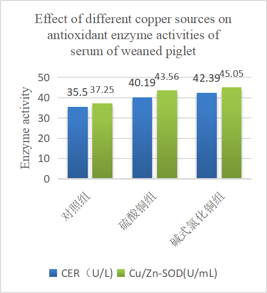 Cov nyhuv ntawm cov tooj liab sib txawv ntawm cov tshuaj antioxidant enzymes ntawm piglet