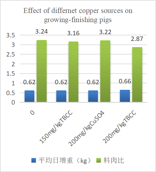 Qhov cuam tshuam ntawm TBCC rau txoj hnyuv ntawm piglets