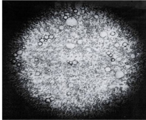 Other emulsifiers: larger oil droplet size