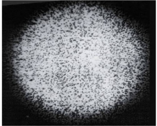 This product: oil droplets are small and uniform.