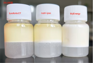 Differences in Emulsion Stability Observed After Homogenization and Subsequent Standing